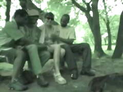 Meu sonho adoro pega pega